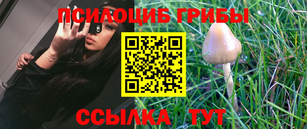Галлюциногенные грибы Cubensis Мариинск
