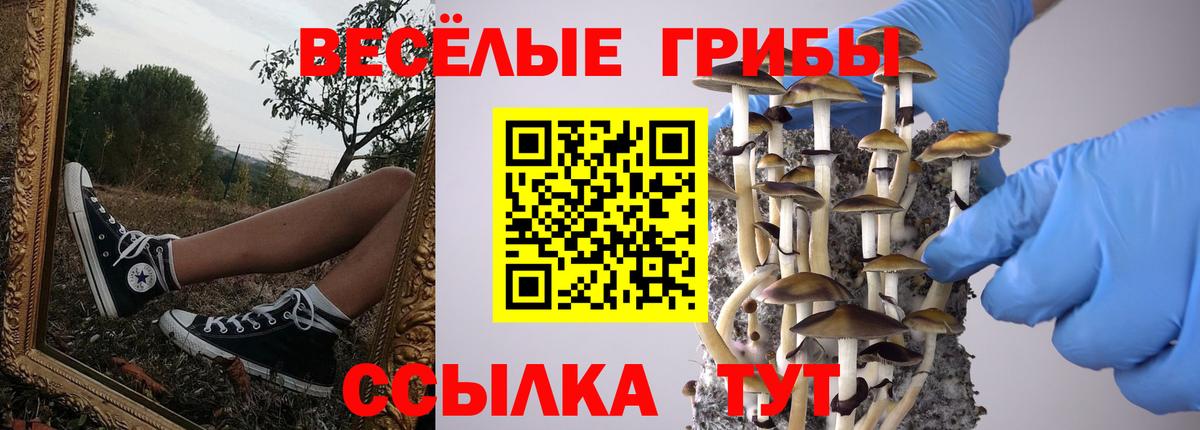 Галлюциногенные грибы Psilocybine cubensis  Вход с VPN  Галлюциногенные грибы Magic Shrooms  Мариинск 